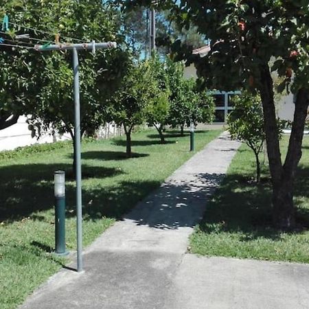הוילה קמיניה Casa Da Cavada מראה חיצוני תמונה