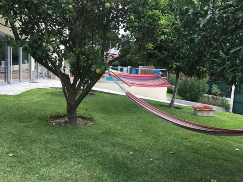 הוילה קמיניה Casa Da Cavada מראה חיצוני תמונה